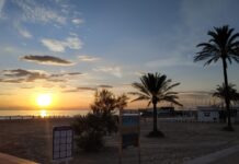 Gandia en clave positiva: novedades que marcan la diferencia MiGandia24playa