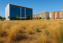 Gandia: 67 nuevas viviendas protegidas. Palacio de Justicia Gandia