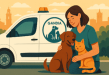 SPAMA gestionará la recogida de animales en Gandia: nuevo contrato municipal de 140.000 €