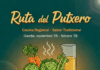 Ruta del Putxero Gandia: Cocina Regional y Sabor Tradicional
