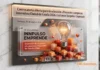 Gandia busca su mejor empresa innovadora Certamen Nacional Innpulso Emprende 2026