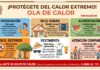 Guía completa para sobrevivir a una ola de calor extrema Guía completa para sobrevivir