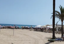 Las playas de Gandia arrancan la temporada Las playas de Gandia arrancan la temporada