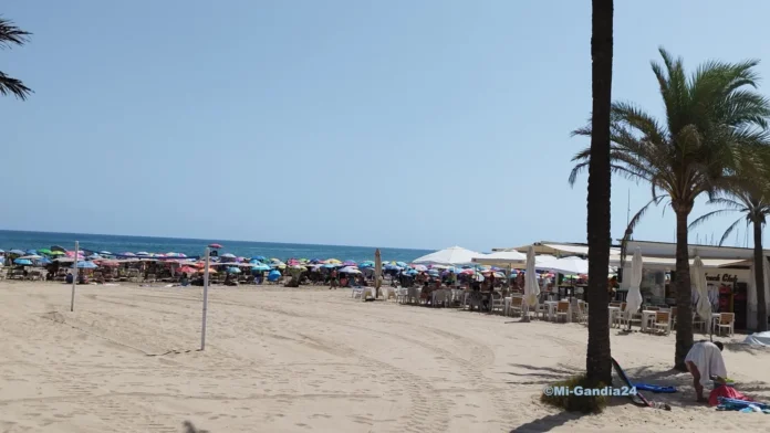 Las playas de Gandia arrancan la temporada Las playas de Gandia arrancan la temporada