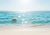 El mar de Gandia alcanza los 29 grados en plena ola de calor marina Termómetro digital en el mar marcando 29,0 °C y medusas flotando en el agua cerca de la orilla