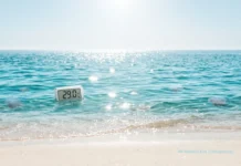 El mar de Gandia alcanza los 29 grados en plena ola de calor marina Termómetro digital en el mar marcando 29,0 °C y medusas flotando en el agua cerca de la orilla