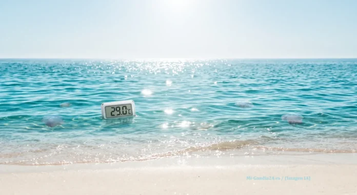 Termómetro digital en el mar marcando 29,0 °C y medusas flotando en el agua cerca de la orilla