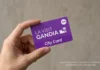 Tarjeta turística y cultural de La Visit Gandia Tarjeta turística La Visit Gandia City Card de 72 horas