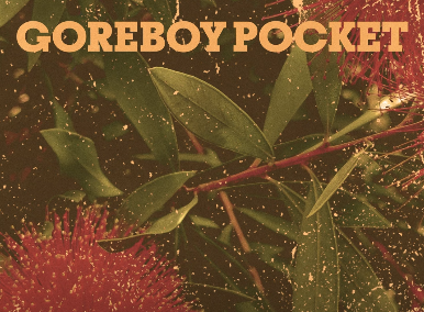 NOCHES GOLFAS: «GAREBOY POCKET»