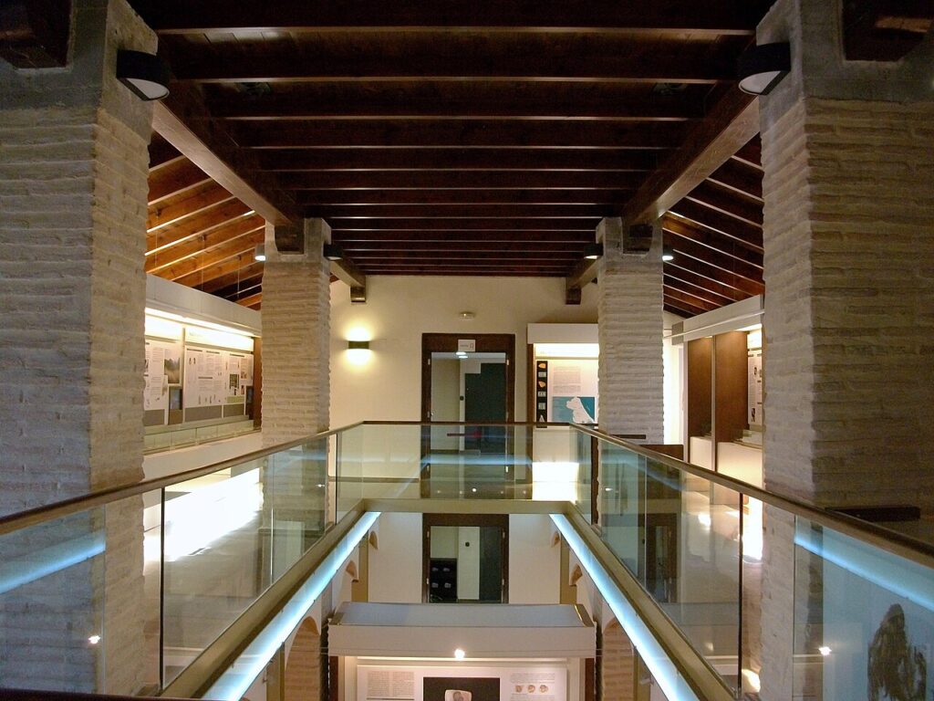 Museu_Arqueologic_de_Gandia_MAGa_interior