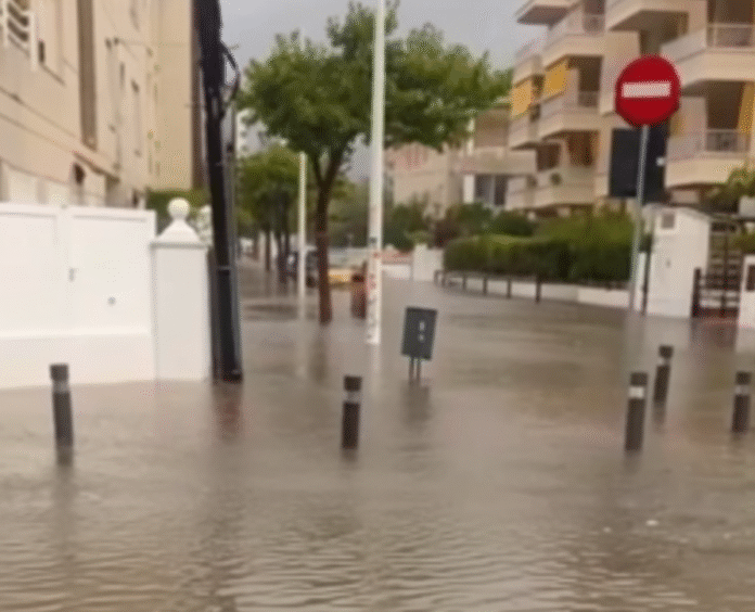 Gandia Bajo Agua