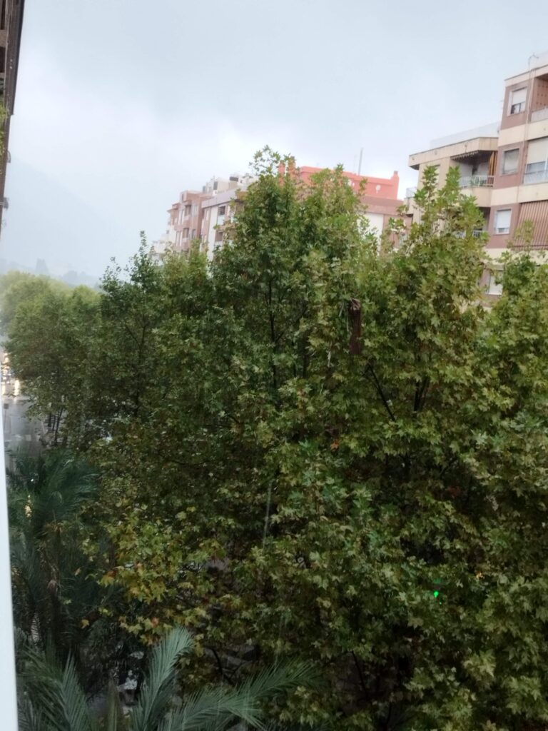 Así afecta la DANA "Alice" a Gandia y La Safor: balance de las últimas horas 3 Así afecta la DANA "Alice" a Gandia y La Safor: balance de las últimas horas