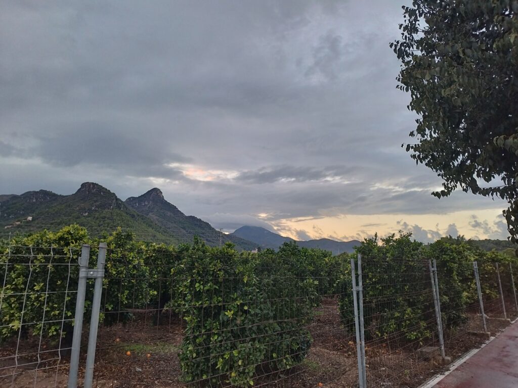 De la alerta roja a la calma: Gandia recupera la normalidad