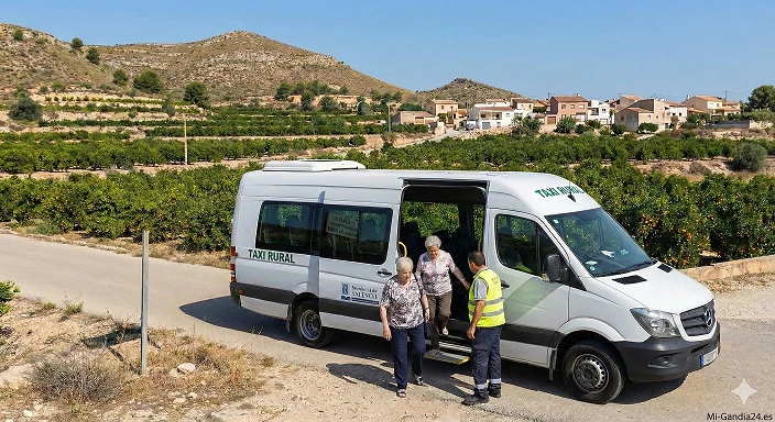 La Safor lidera el reparto de los 450.000€