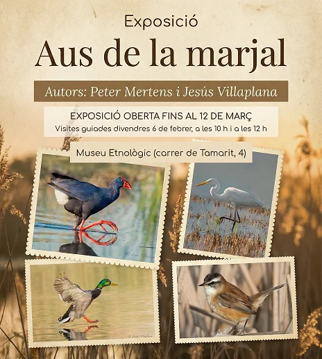Exposición Aus de la marjal en Oliva