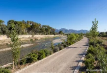 Gandia impulsa la segunda fase de restauración del río Serpis y completa su Anella Verda restauración del río Serpis