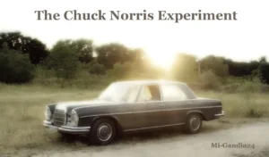 The Chuck Norris Experiment